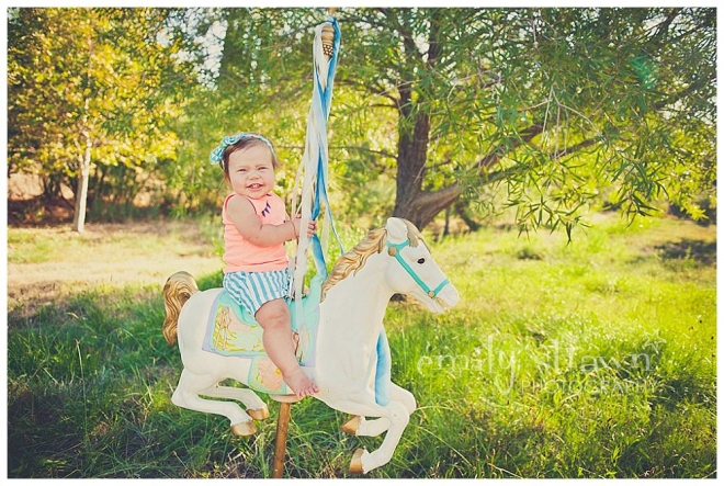 strawn photography -  Carousel Horse_0024