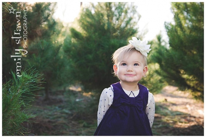 strawn photography - christmas tree mini_0146