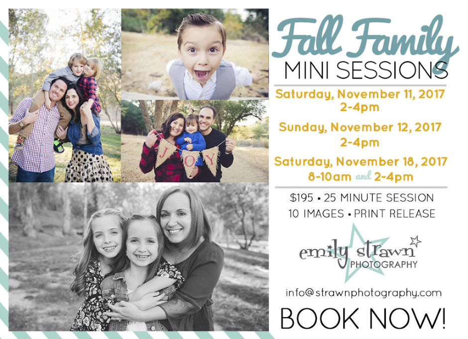 strawn photography mini session